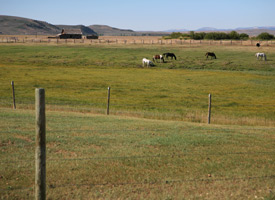 pp_sublette_pasture_081113.jpg