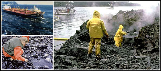 exxon_valdez_photo_collage.jpg